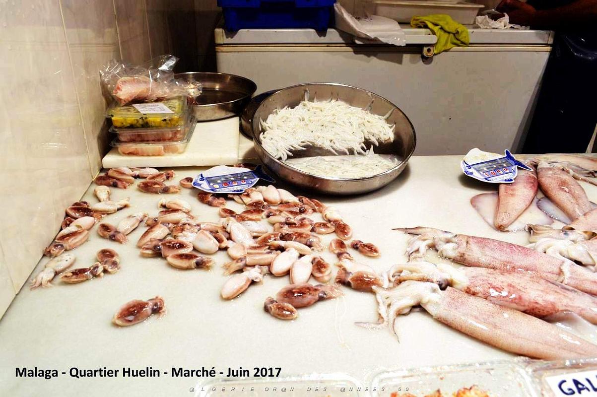 307- Malaga Huelin.JPG